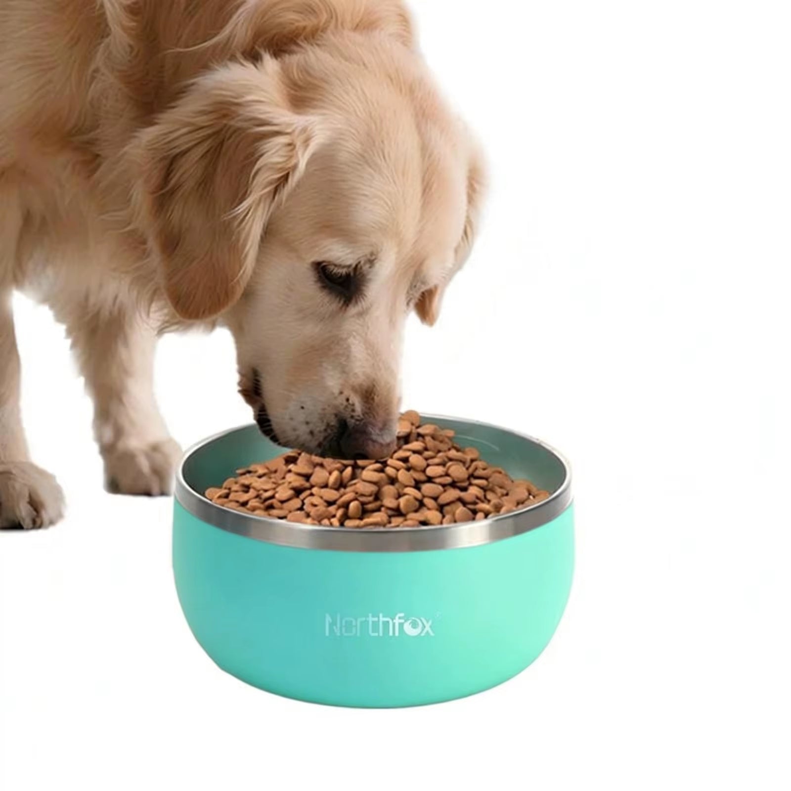 32Oz Dog Bowl for Food and Water Stainless Steel Pet Feeding Bowl Durable Non-Skid Doubl Wall Insulated Multi-Color Dog Bowl